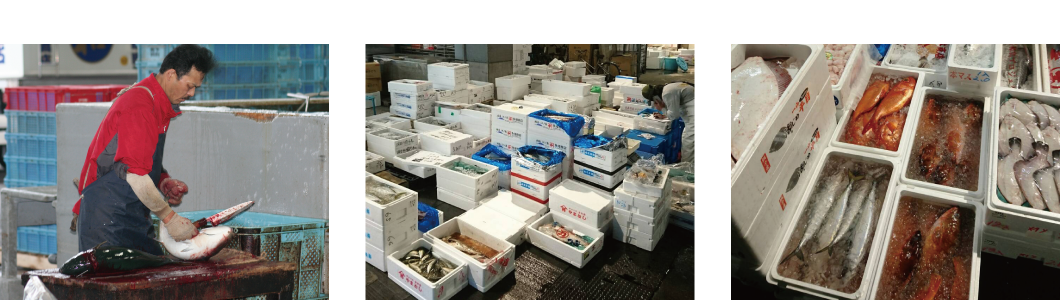 東京都中央卸売市場 大田市場